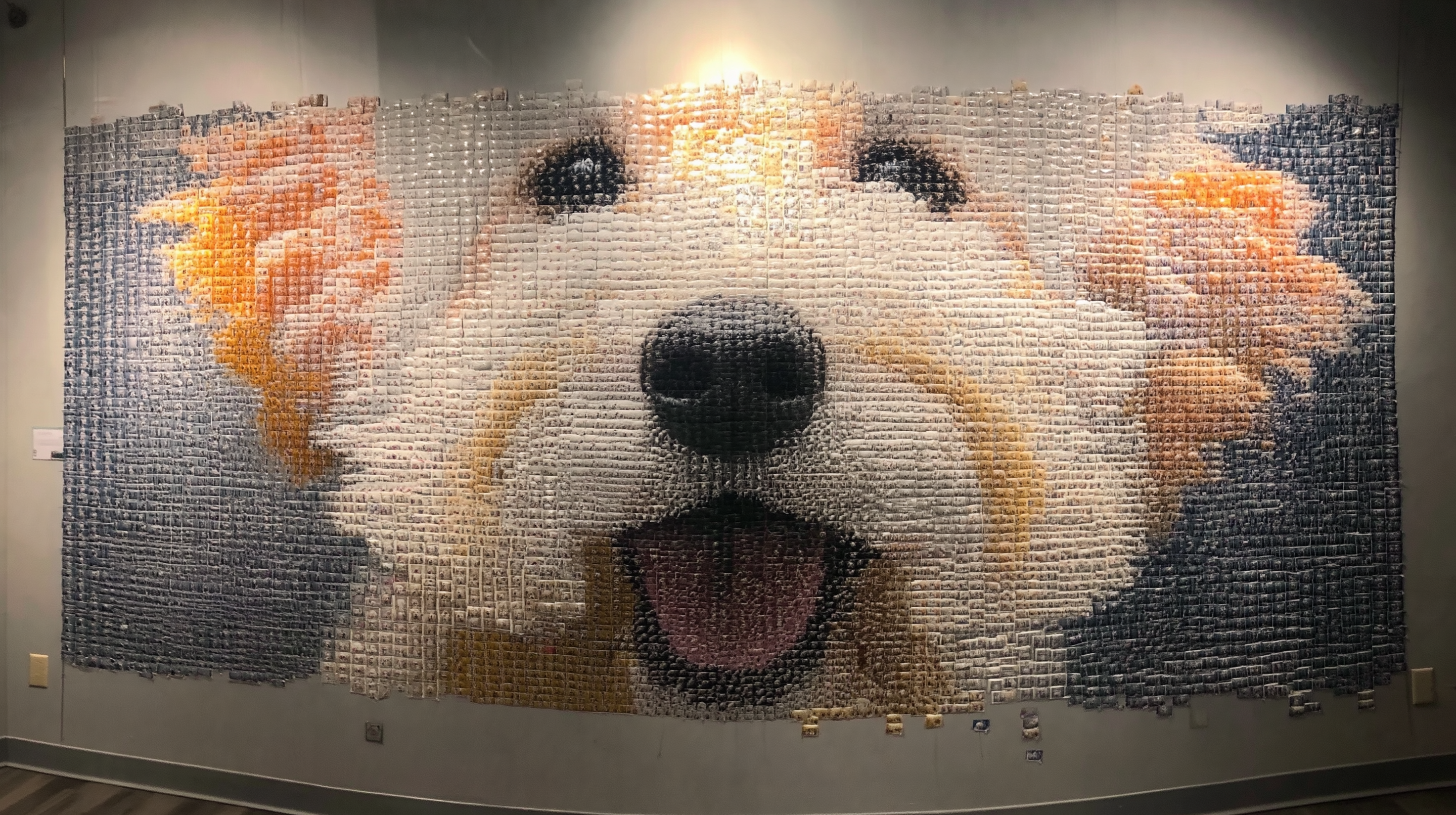 Ten thousand individual photographs arranged in a vast obsessive grid revealing a hidden image only at distance, each frame hand-printed and hand-labeled, representing the personal dataset as creative material